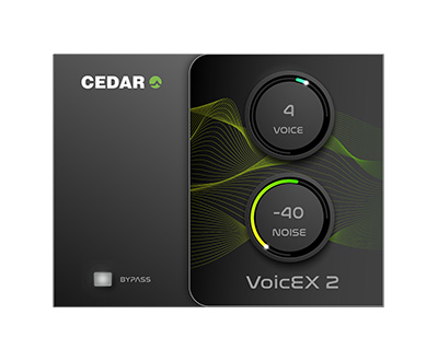VoicEX